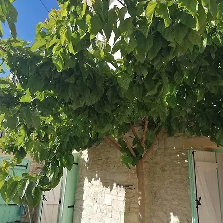 Apartment Laoutaris
